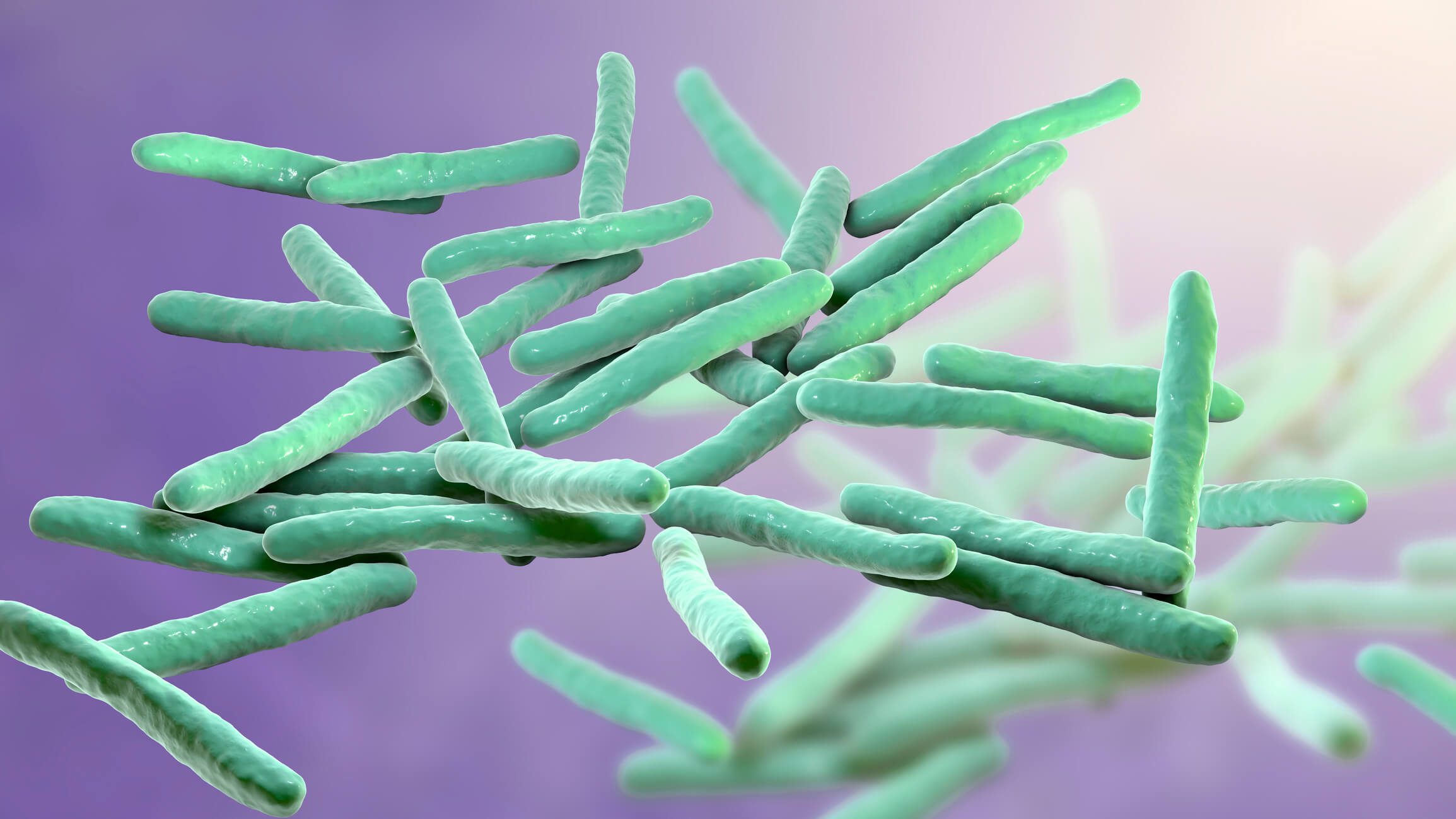 leprosy virus