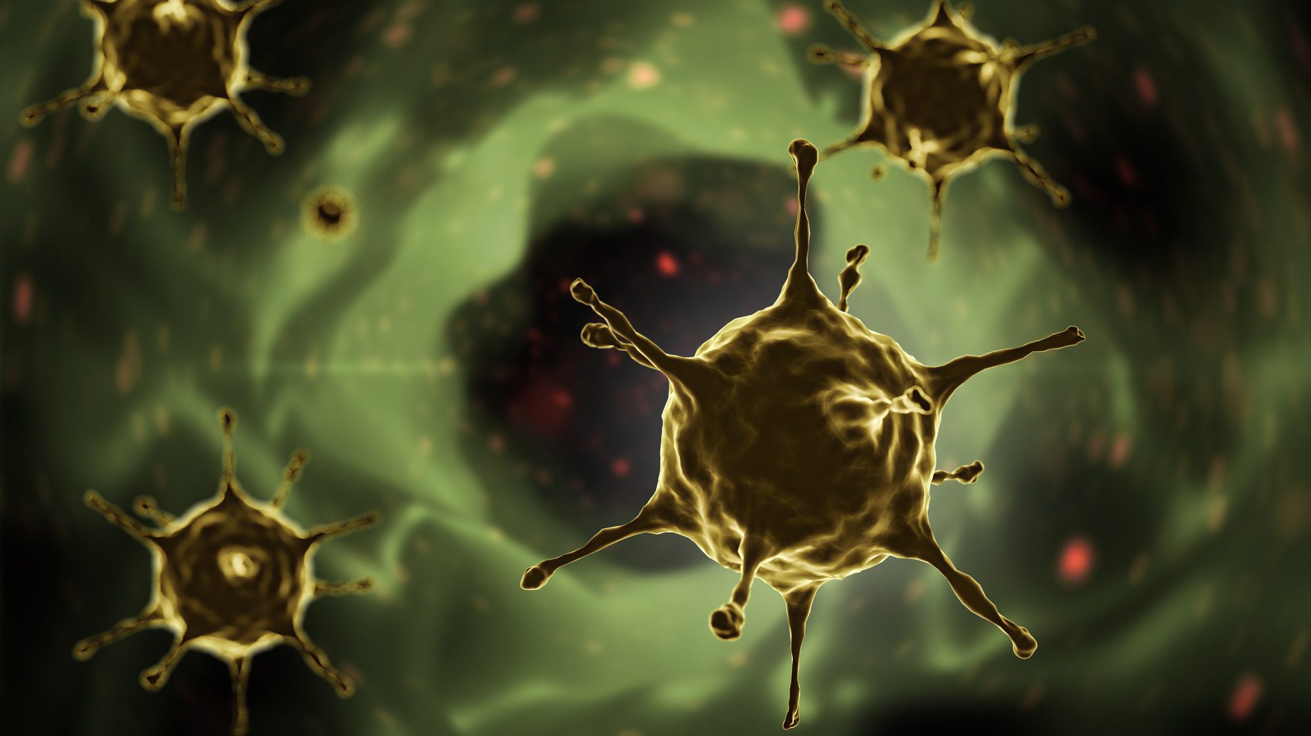 marburg virus rendering
